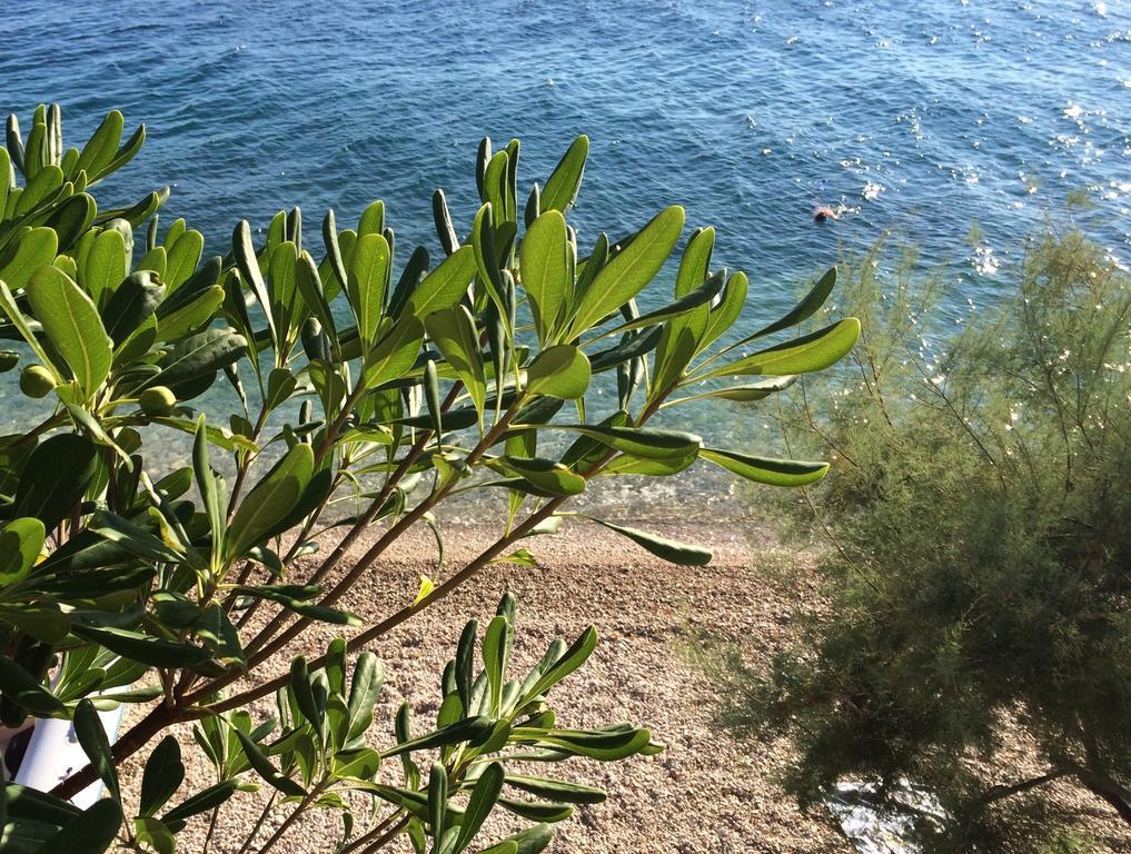 Holiday Home Mala Duba Živogošće Cameră foto
